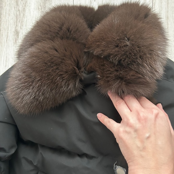 Puffer - Picture 5 of 8